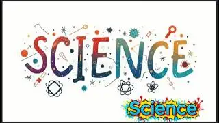 Importance of Science in Our Daily Lives: Life Without Science? Nearly Impossible!