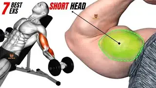 7 best SHORT  head Biceps workout at gym