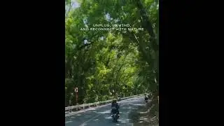 Unplug, unwind, reconnect with nature