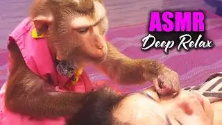 Monkey Grooming ASMR With Judy | VIP Spa For Tingly Head Massage & Soothing