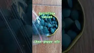 Spirulina - spirulina tablet - alga