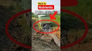 Silt Looks Rich&mdash;But Is It Safe for Farming?