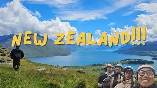 I Raced Down a Mountain in New Zealand (LUGE WAS INSANE)