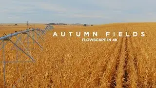 Autumn Fields Flowscape in 4K -- With Music