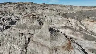 Dinosaur Park Cinematic - 4K