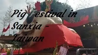 Holy Pig Religious Festival in Sanxia 三峽 廣行宮, Taiwan | Traveler Ni