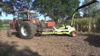 Haksel Team de Tukkers  2019 Claas Jaguar / maish&auml;ckseln / chopping maize / Ensilage &agrave; l'ancienne