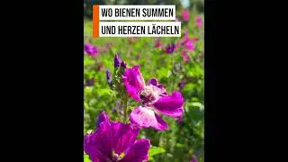Frieden, Natur & Pflege 🌿💚 in der Grotjahn-Stiftung