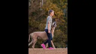 Episode 3: Tara's story: with Tara Burke of Ridgeside K9