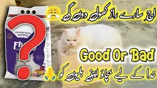 Fluffy Cat Food Review & Why it is Bad for Cats || Best cat food for cat & kittens in 2024