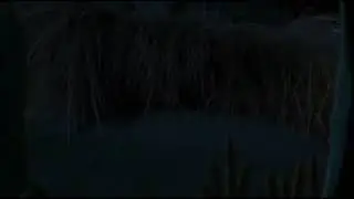 SHREK WALKING THROUGH THE SCREEN 1 HOUR EDITION