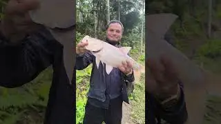 u nongkhwai na rikhasi channel welcome you to all the angler ki nongkhwai river or pond fishing