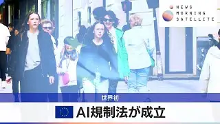 世界初　EU AI規制法が成立【モーサテ】（2024年5月22日）