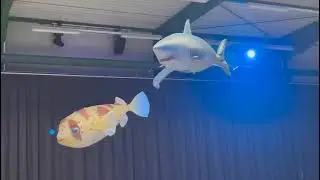 Radio-Controlled Inflatable Sculptures FISH for your Event! Rent Robot Moda #show www.robotmoda.ru