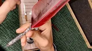 Feather Dip Quill Pen | Fountain Pen | Unboxing | DaffoDil