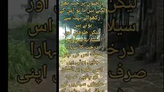 #keepers #When there are fruits on the tree# Strength of joints #trending#islami#Without lions