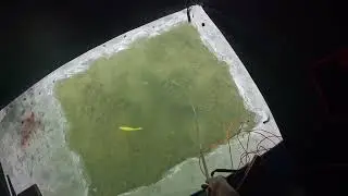 Michigan Pike Spearing 1/12/2025