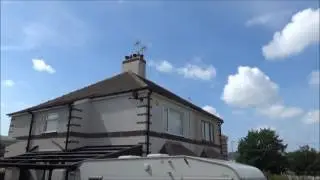 Removal of 50,000 Bees from Chimney