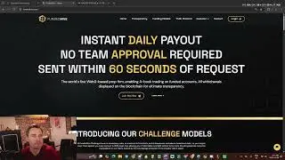 Talking Funded Hive and Their Instant Daily Payout Policy - Forex Prop Firm