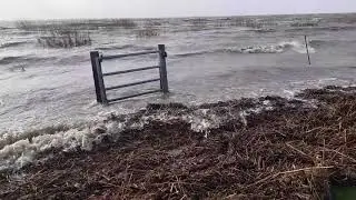Sturm 