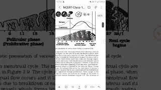 Human Reproduction neet 2026 