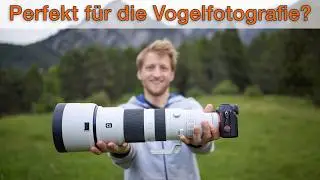 Sony 400-800mm - &Uuml;berteuert oder das perfekte Objektiv f&uuml;r die Vogelfotografie?