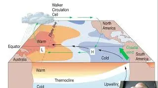 Normal Conditions in the Tropical Pacific