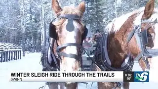 Guests enjoy sleigh ride experience at Up North Lodge