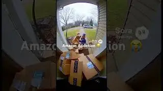 Amazon Addiction 😭 #funny #dog #goldenretriever