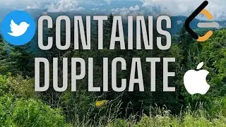 Contains Duplicate II: LeetCode 217 | Finding Distinct Duplicates in Array