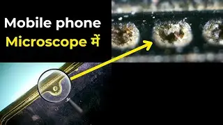 Mobile Phone in microscope