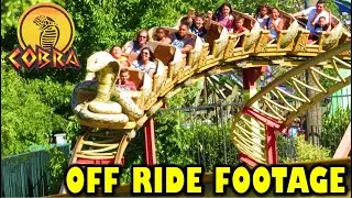 Cobra at Six Flags Discovery Kingdom Off-Ride Footage (No Copyright)