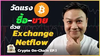 [Crypto On-Chain EP.1] วัดแรงซื้อแรงขาย Bitcoin ด้วย Exchange Net Flow