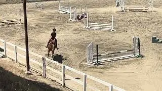 Lily Kagchelland- Hunter/Jumper- Warmbloods, Thoroughbreds, Ponies, O/F, X-Rails, Equitation