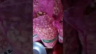 G1 GARLIC KI FRESH BOOKING SEASON 2022 23| G1 LEHSAN LAGANY KA TARIQA