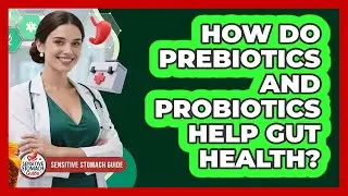 How Do Prebiotics And Probiotics Help Gut Health? - Sensitive Stomach Guide