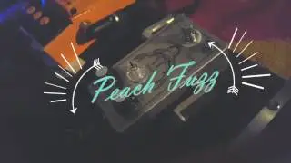PEACH FUZZ - Triungulo Lab