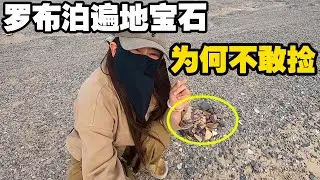 房车穿越罗布泊无人区，姑娘发现遍地是宝石，却不敢带走为啥【小龙侠兜兜】