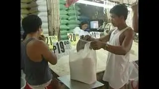 Measuring Paddy (Unhusked Rice) Quality (English)