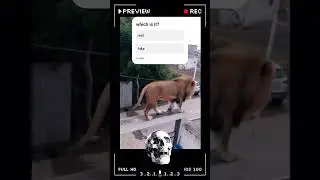 fake or real #ai #reels #shorts #real #aivideo @dentalgpsc @aksh2907 #aieffects #lion #aiart