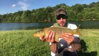 Carp fishing with particle bait and feed corn; day 2