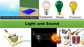 Light and Sound /Science for children/*Reshma Smart Coaching*