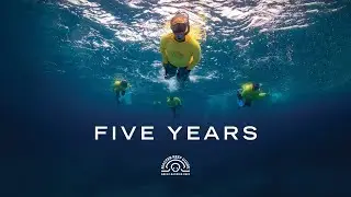 Journey through 5 Years: The Master Reef Guide Program | Great Barrier Reef Marine Park Authority