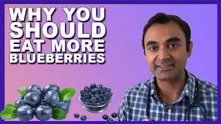 Why you should EAT MORE BLUEBERRIES