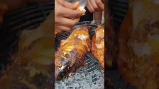 fish angara#shorts