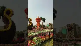 Flower Show 2026| 🧿🧿❤️❤️ #love #ahemdabad #flowershow2026 #song #ytviralshorts