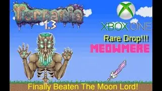 Terraria: Defeating the Moon Lord and Getting the Rarest Drop - Meowmere #terraria