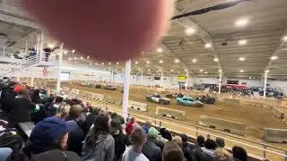 2025 Topsfield fair figure 8 heat 4