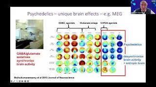 CumbriaMed Research Webinar Series: Innovations for Wellbeing