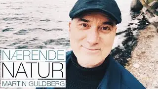 Meditation | N&AElig;RENDE NATUR | Martin Guldberg
